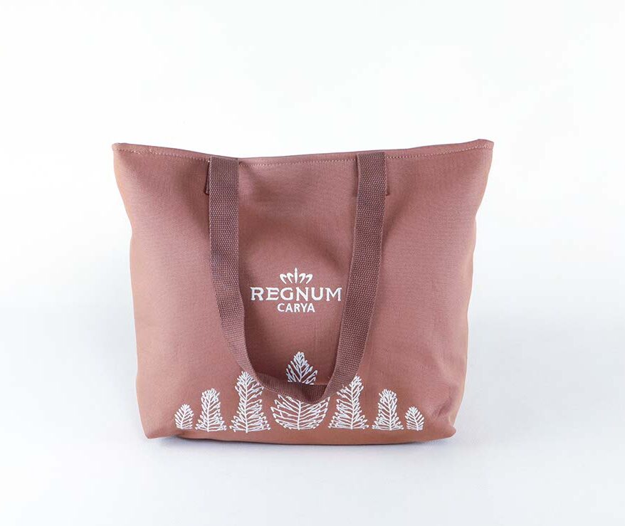 BP3223 Plaj Çantası